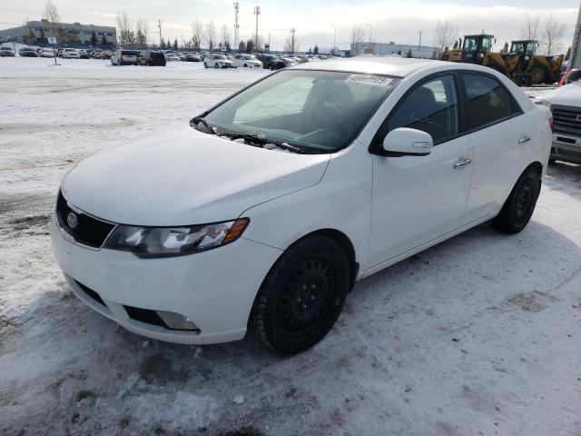 KIA FORTE SX 2010 knafw4a34a5080476