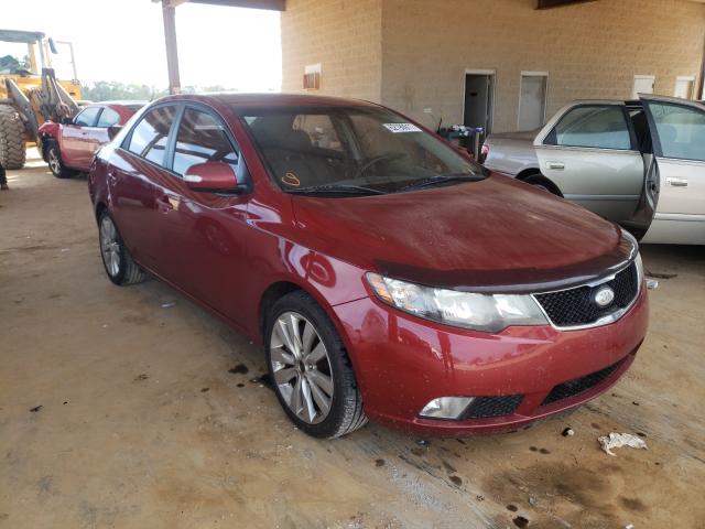 KIA FORTE SX 2010 knafw4a34a5118403