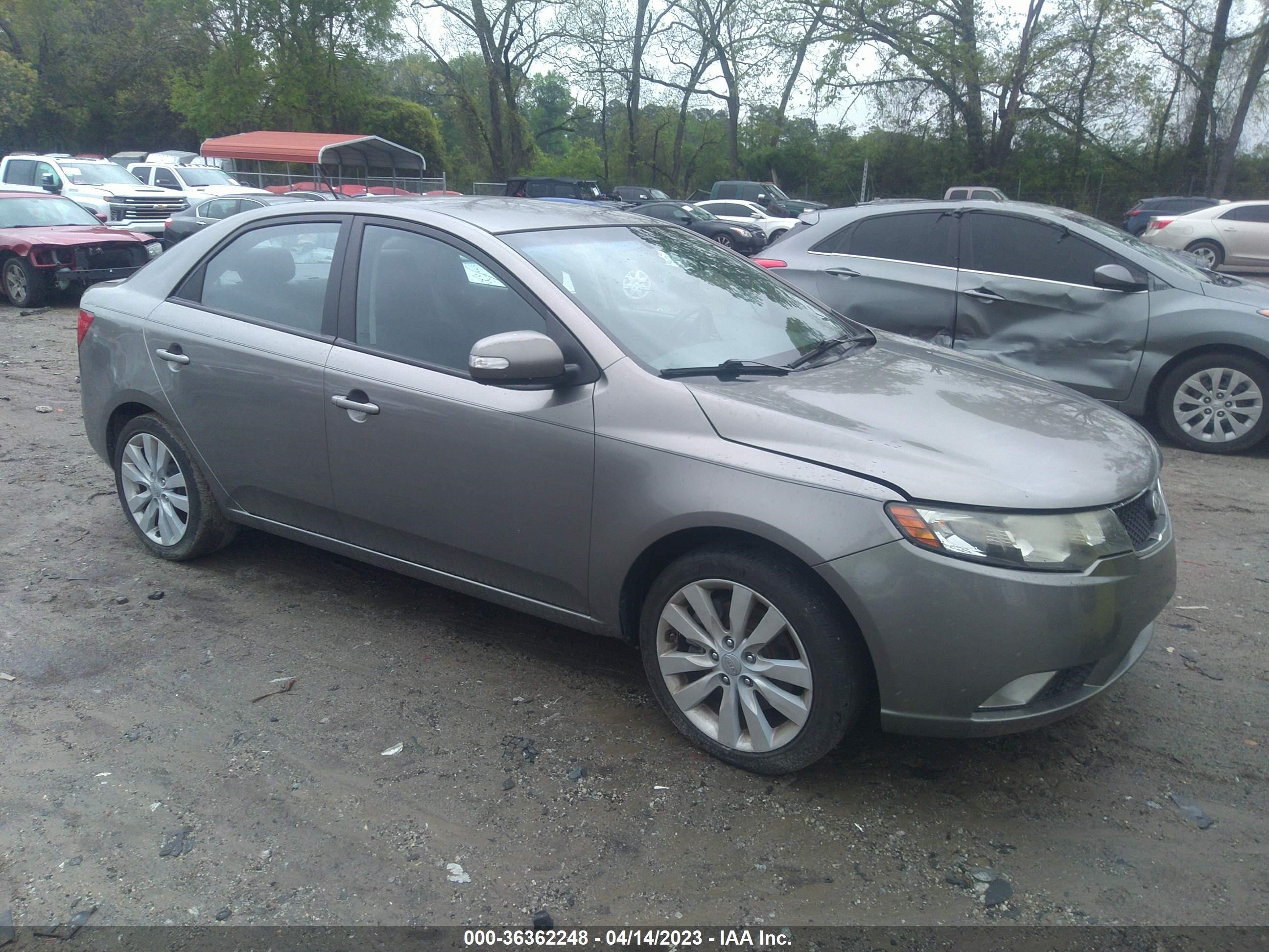 KIA FORTE 2010 knafw4a34a5140241