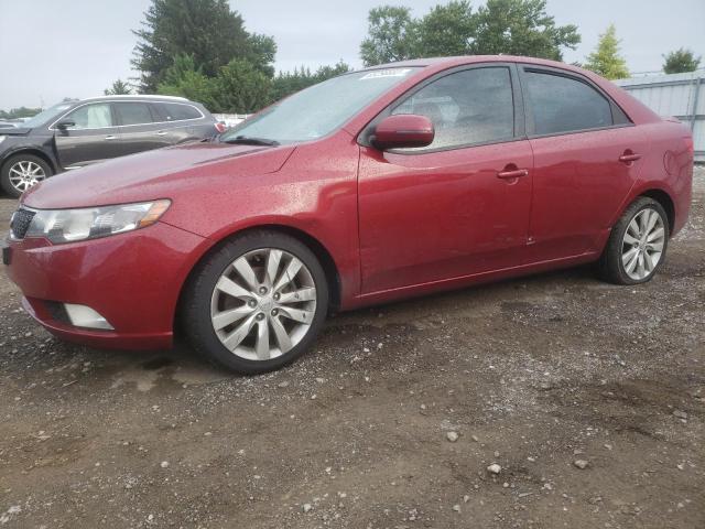 KIA FORTE SX 2012 knafw4a34c5496353