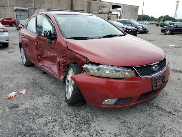 KIA FORTE SX 2010 knafw4a37a5112515