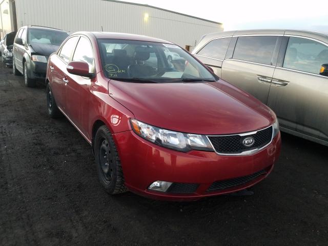 KIA FORTE SX 2010 knafw4a38a5154532