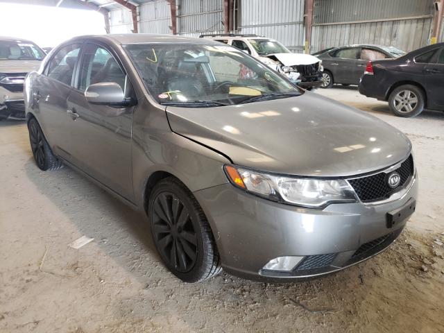 KIA FORTE SX 2010 knafw4a38a5241525