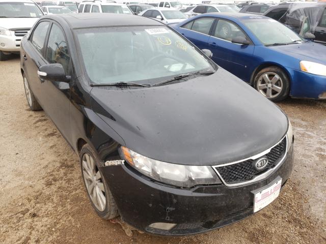 KIA FORTE SX 2010 knafw4a39a5117425