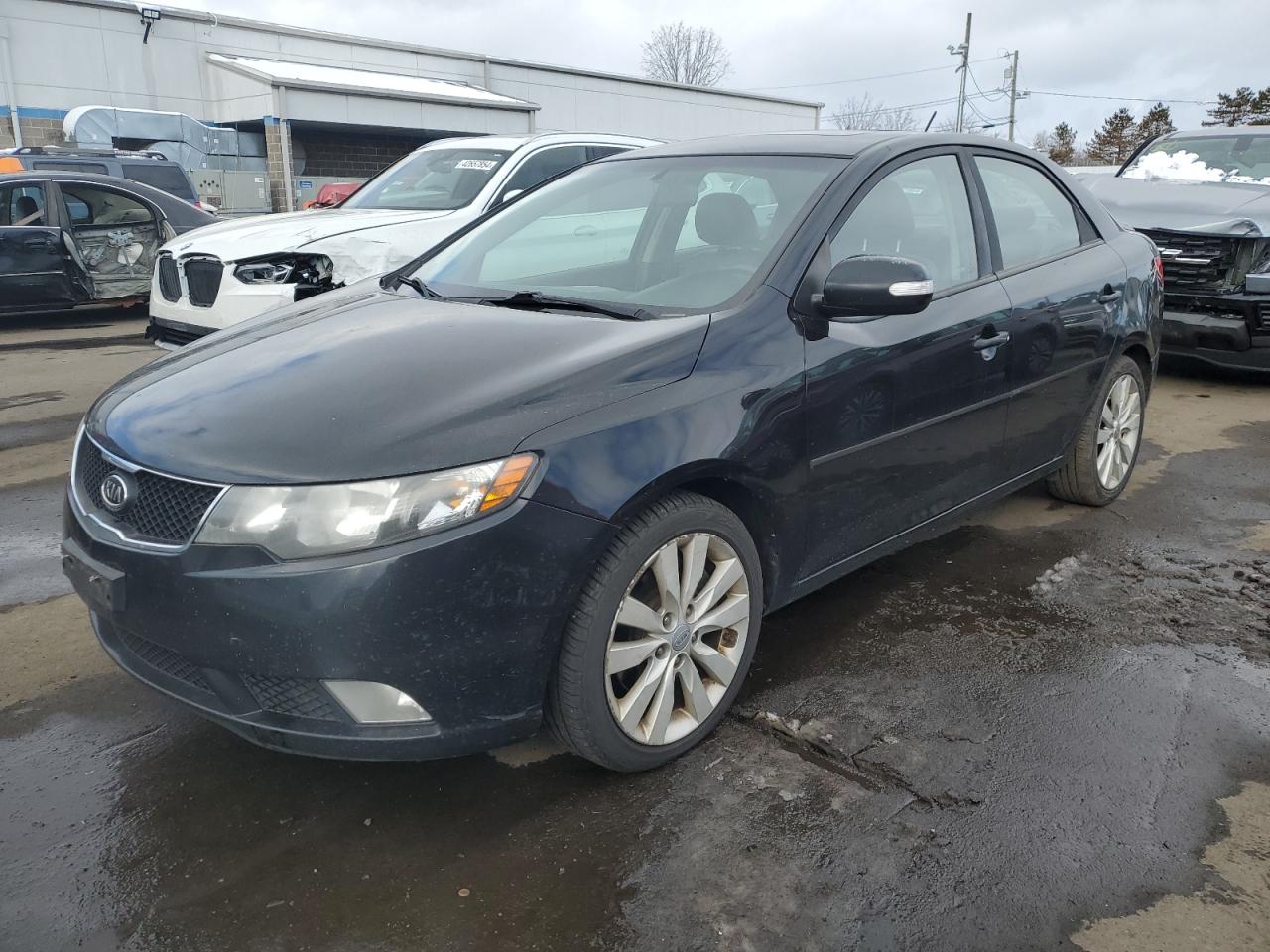 KIA FORTE 2010 knafw4a3xa5241848