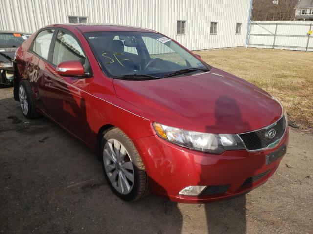 KIA FORTE SX 2010 knafw4a3xa5300803