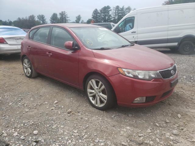 KIA FORTE SX 2011 knafw5a30b5335096