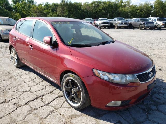 KIA FORTE 5-DOOR 2011 knafw5a30b5353078