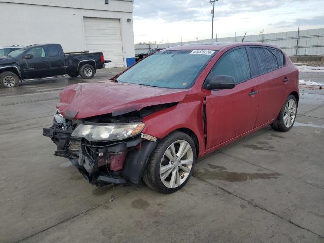 KIA FORTE 2011 knafw5a31b5325256