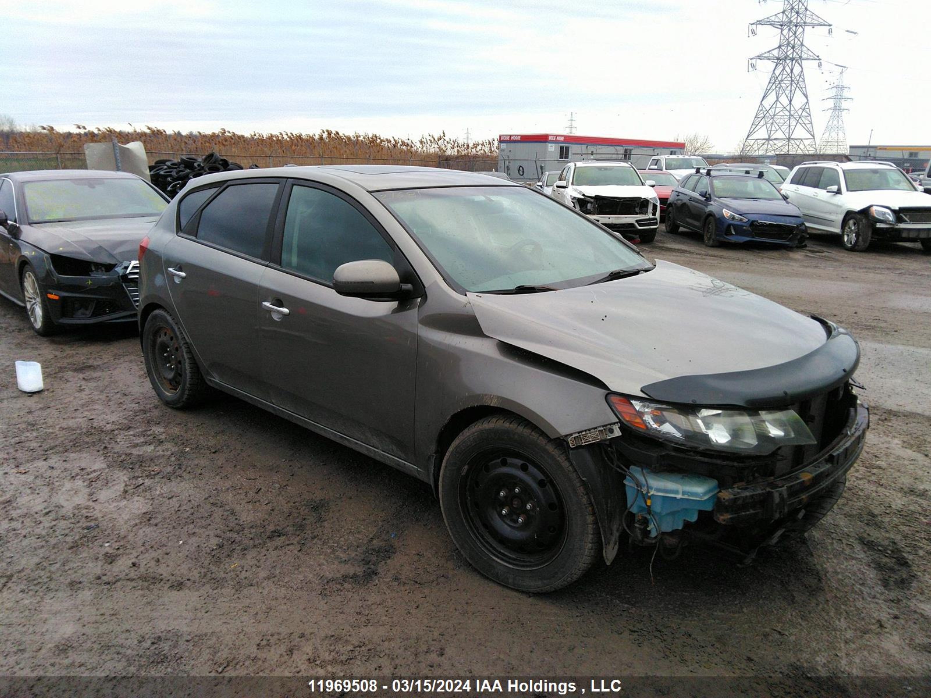 KIA FORTE 2011 knafw5a31b5389877