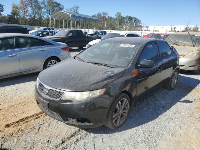 KIA FORTE SX 2011 knafw5a32b5418187