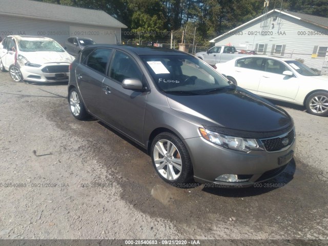 KIA FORTE 5-DOOR 2013 knafw5a33d5654818