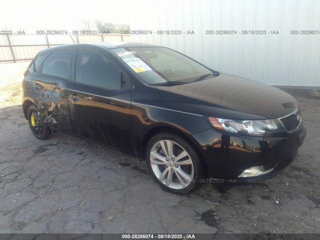 KIA FORTE 5-DOOR 2013 knafw5a33d5745426