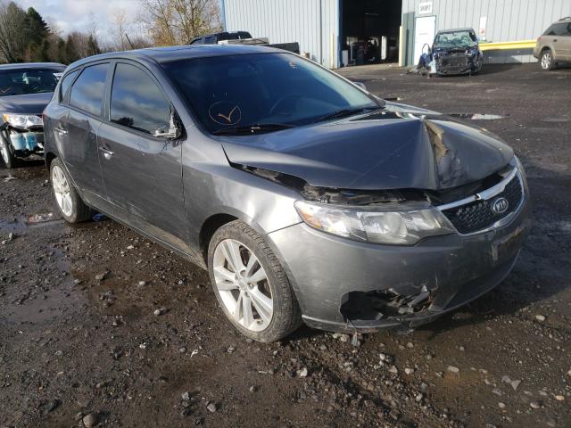 KIA FORTE SX 2013 knafw5a36d5686436