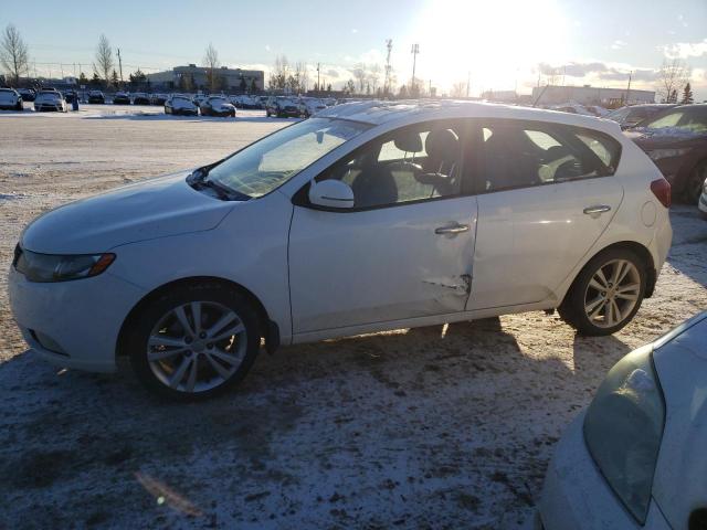 KIA FORTE SX 2011 knafw5a38b5351949