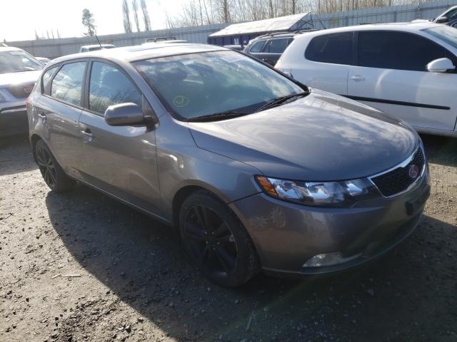 KIA FORTE SX 2013 knafw5a39d5663894