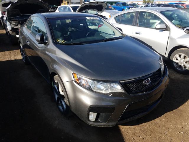 KIA FORTE SX 2013 knafw6a30d5738665