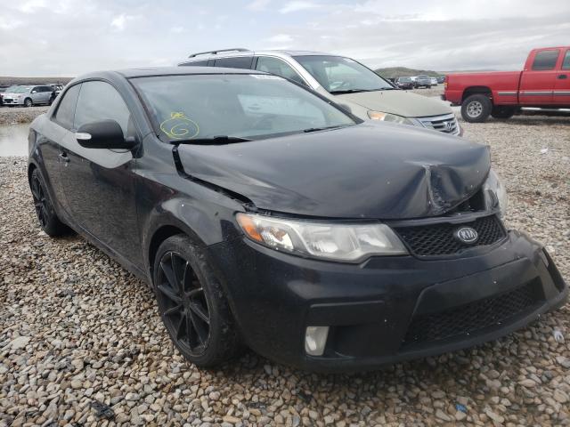 KIA FORTE SX 2010 knafw6a31a5134702