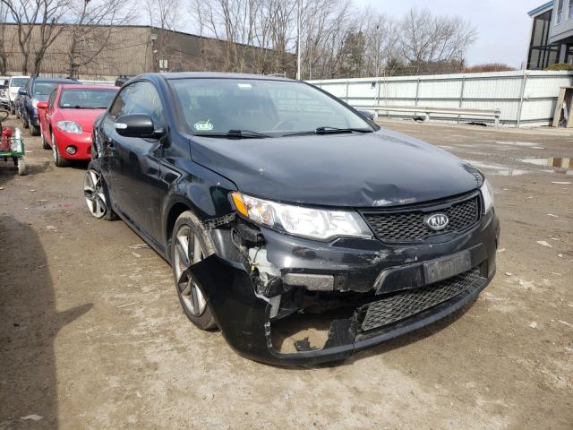 KIA FORTE SX 2010 knafw6a31a5242141