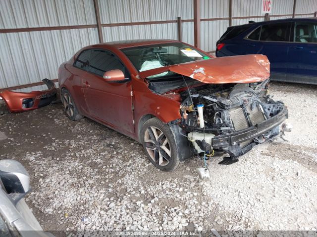 KIA FORTE 2010 knafw6a31a5312186