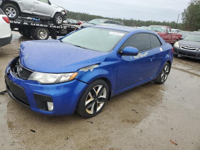 KIA FORTE 2011 knafw6a31b5327241