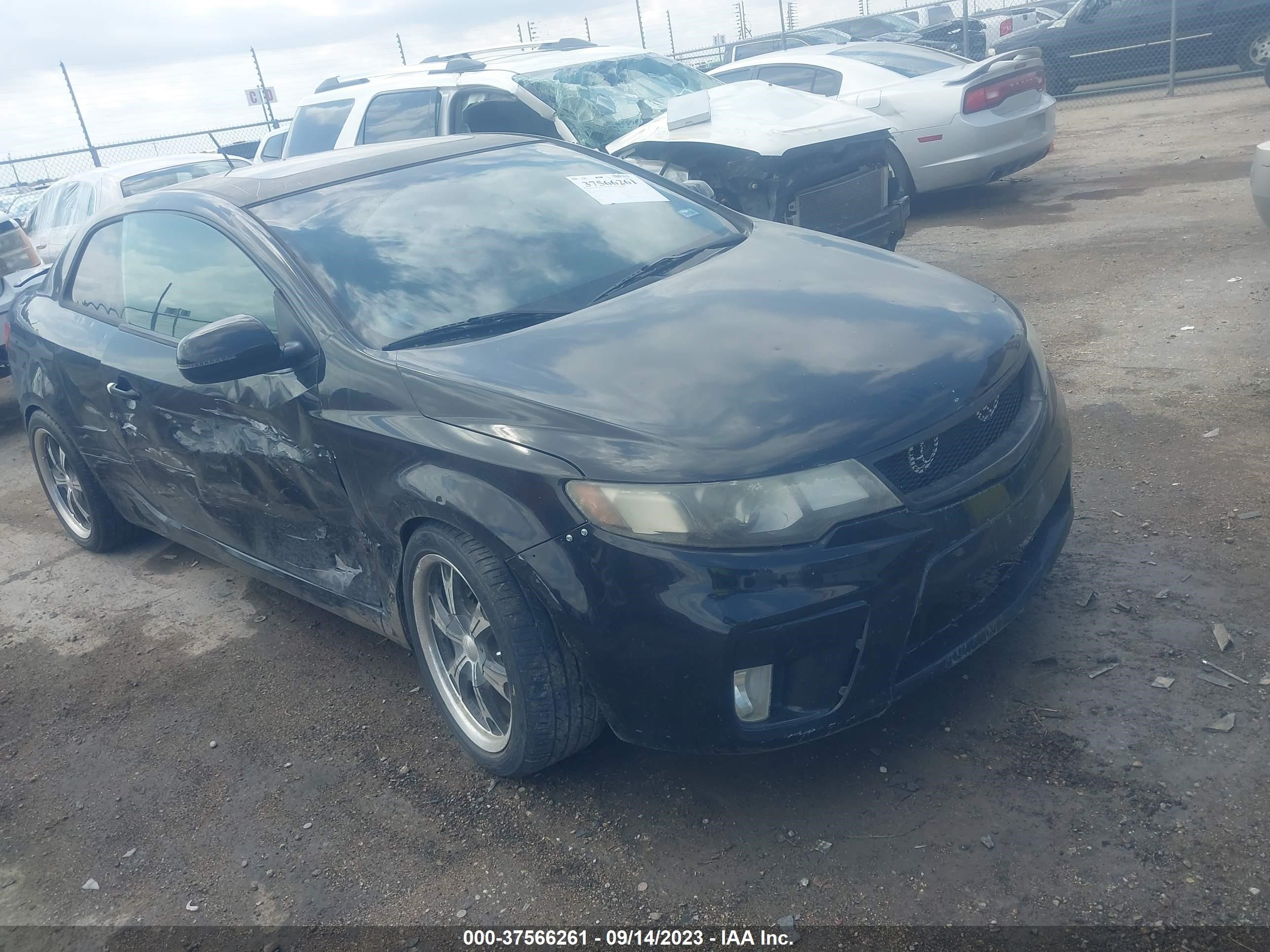 KIA FORTE 2011 knafw6a31b5429364