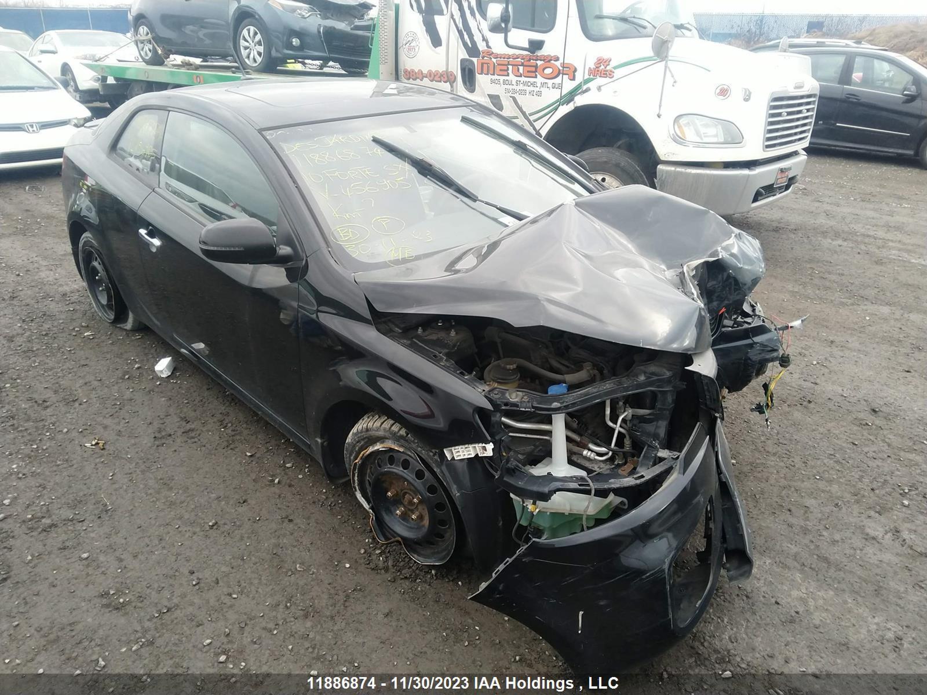 KIA FORTE 2010 knafw6a31b5456905