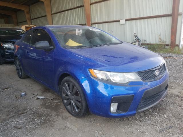 KIA FORTE SX 2012 knafw6a31c5478226