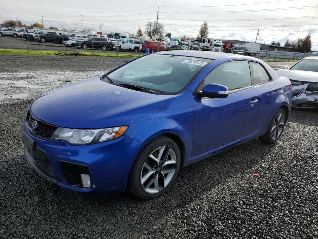 KIA FORTE 2010 knafw6a32a5147734