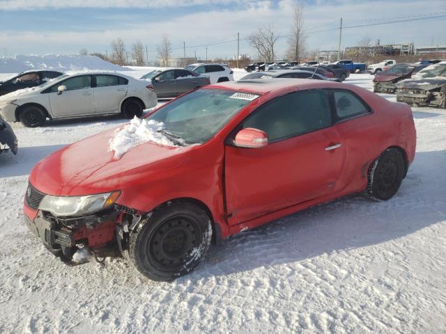 KIA FORTE SX 2010 knafw6a32a5218592