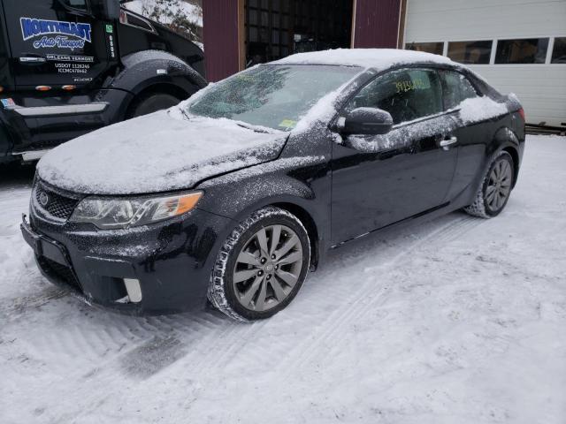 KIA FORTE SX 2011 knafw6a32b5368784