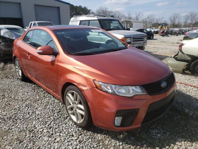 KIA FORTE SX 2010 knafw6a33a5120946