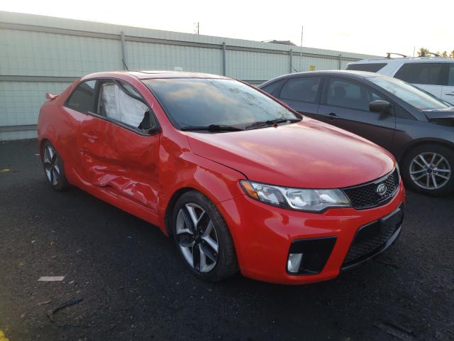 KIA FORTE SX 2010 knafw6a33a5125550