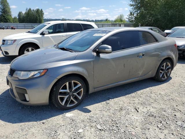 KIA FORTE SX 2010 knafw6a33a5130215