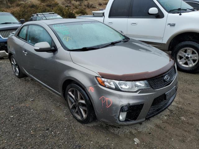 KIA FORTE SX 2010 knafw6a33a5175137