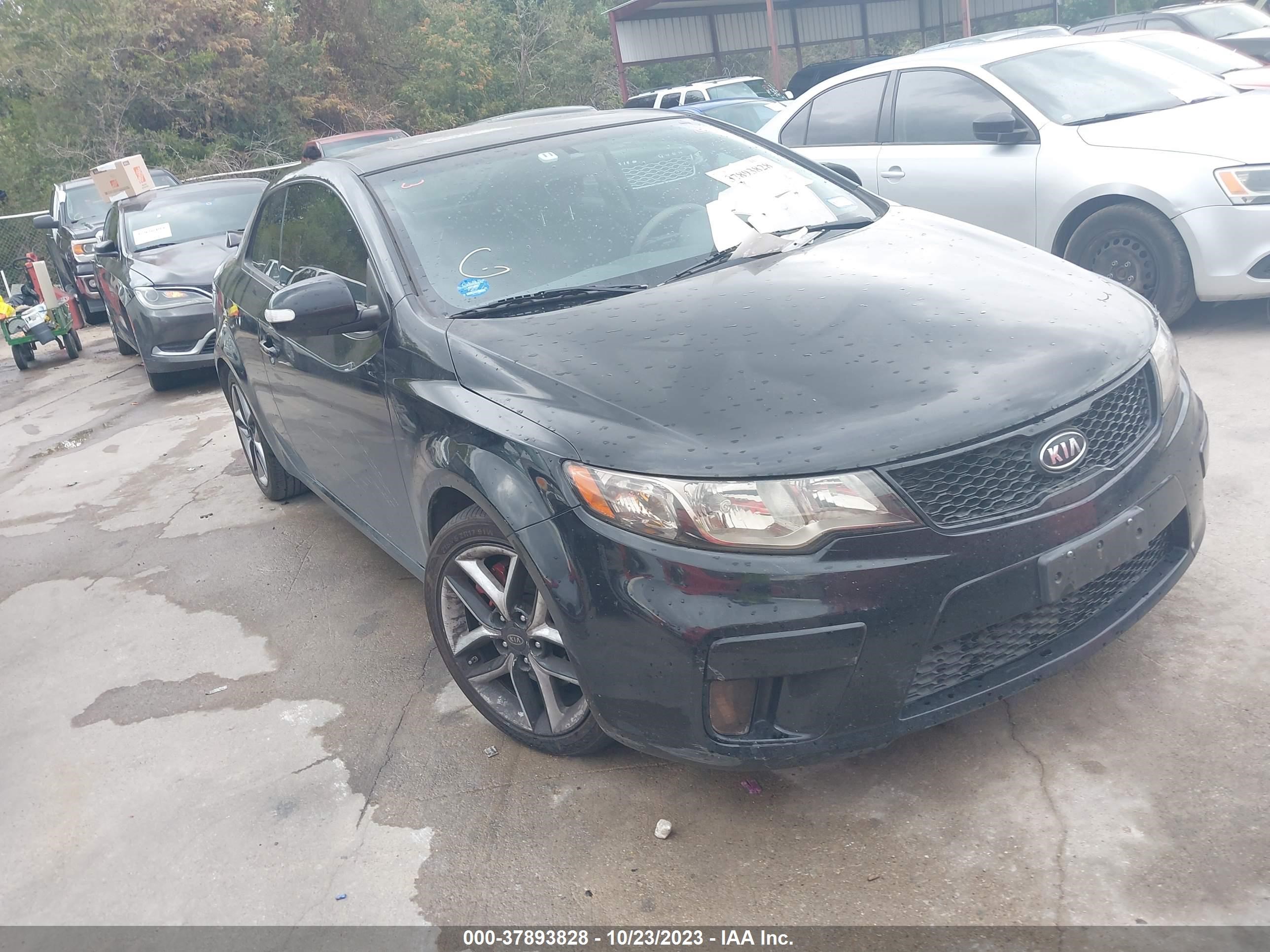 KIA FORTE 2010 knafw6a33a5199406