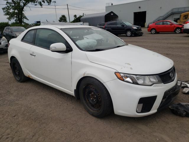 KIA FORTE SX 2010 knafw6a33a5218858