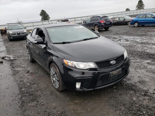 KIA FORTE SX 2010 knafw6a33a5306454