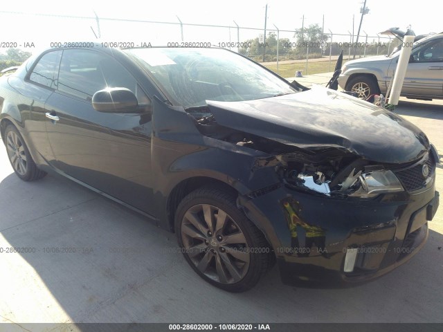 KIA NULL 2011 knafw6a33b5437353