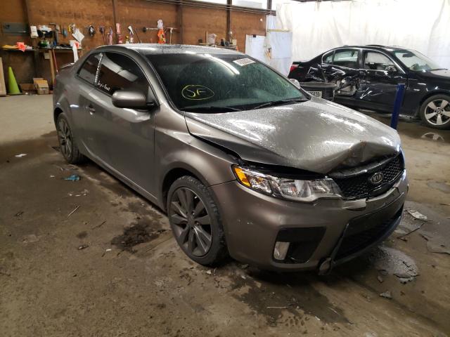 KIA FORTE SX 2011 knafw6a33b5438843