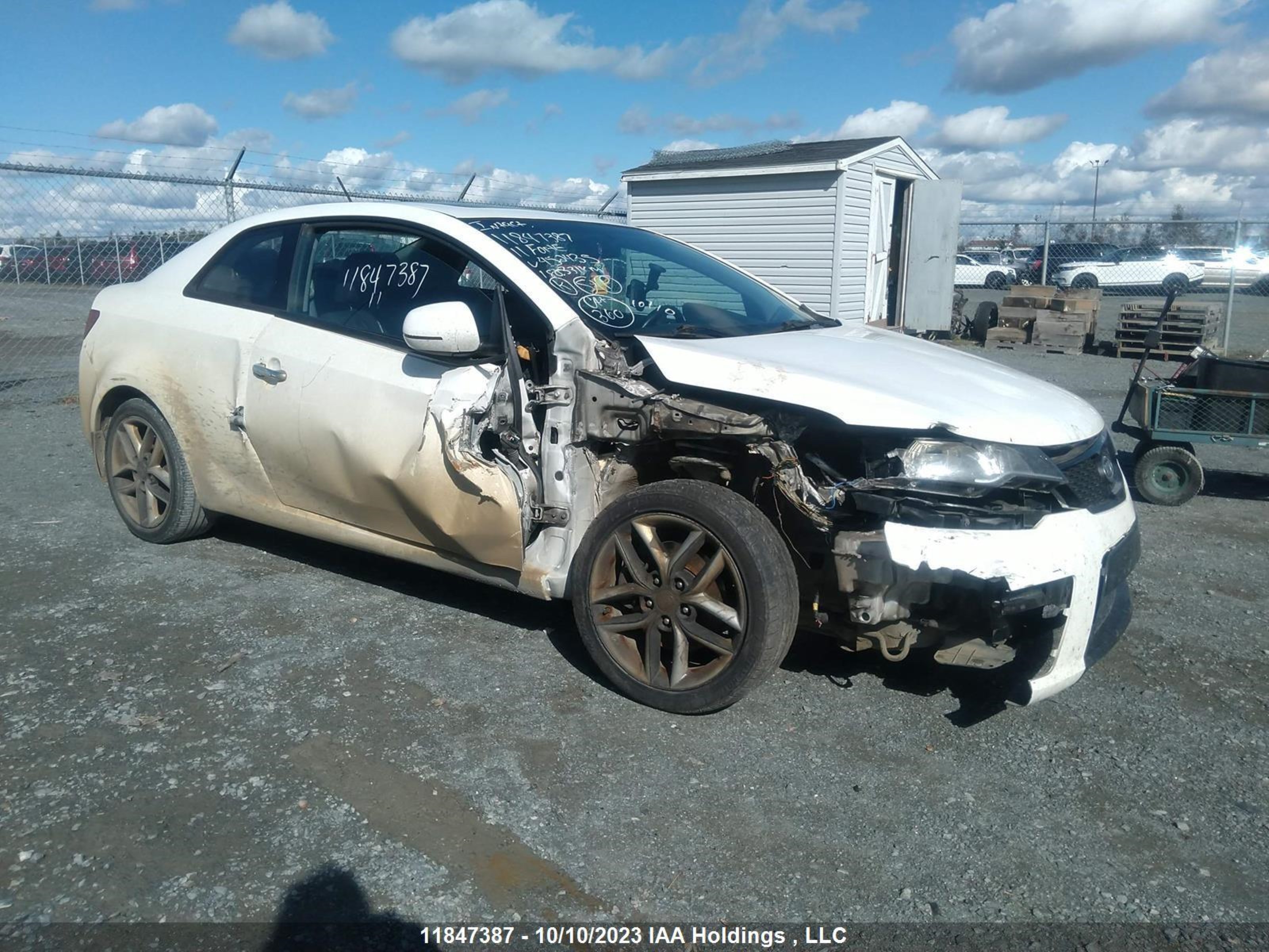 KIA FORTE 2011 knafw6a33b5452435