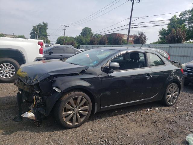 KIA FORTE 2013 knafw6a33d5694497