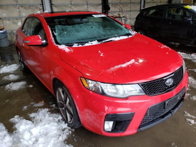 KIA FORTE SX 2010 knafw6a34a5135102