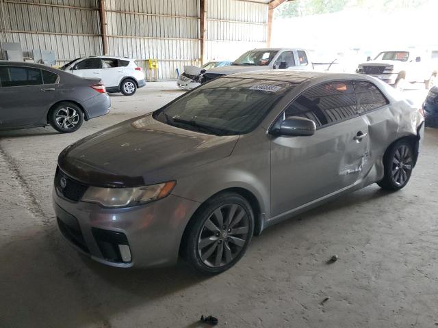 KIA FORTE SX 2011 knafw6a34b5334684