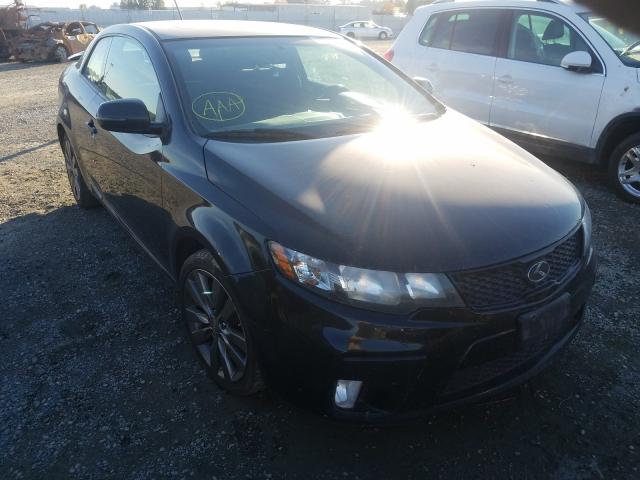 KIA FORTE SX 2011 knafw6a34b5427690