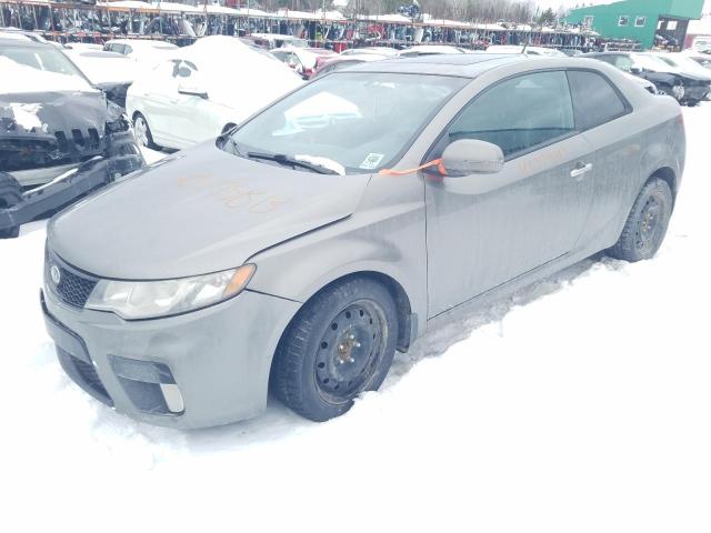 KIA FORTE SX 2011 knafw6a34b5451634