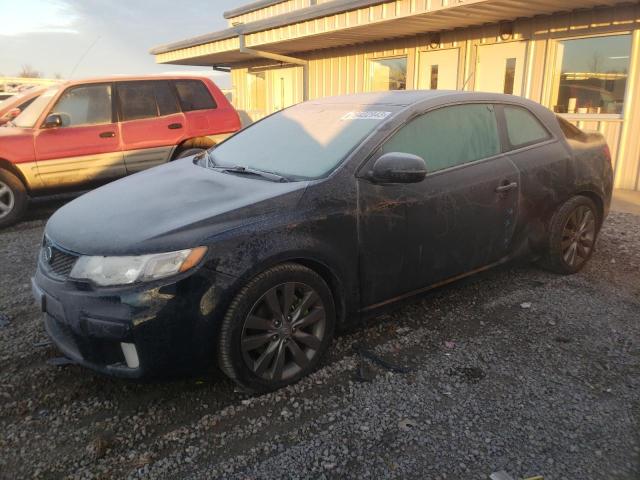 KIA FORTE 2013 knafw6a34d5667082