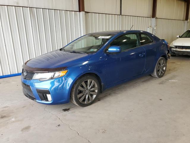 KIA FORTE SX 2013 knafw6a34d5740046