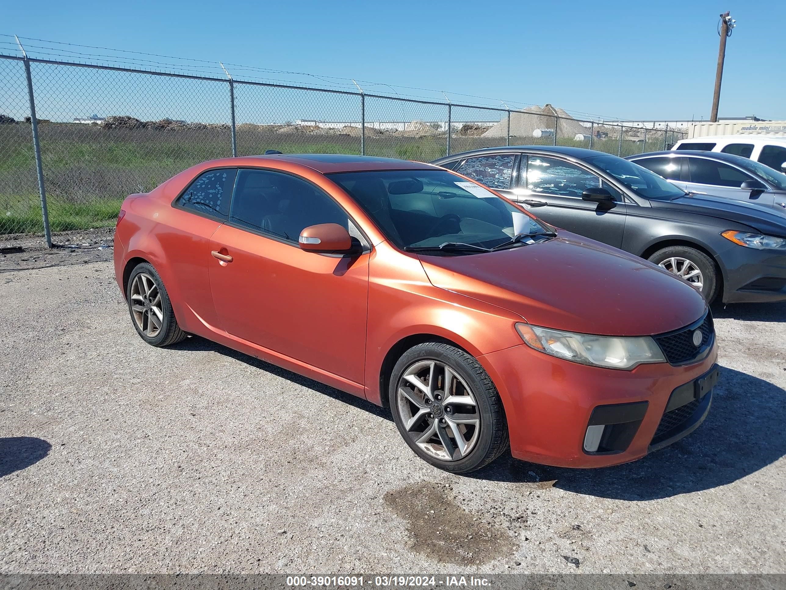 KIA FORTE 2010 knafw6a35a5117191