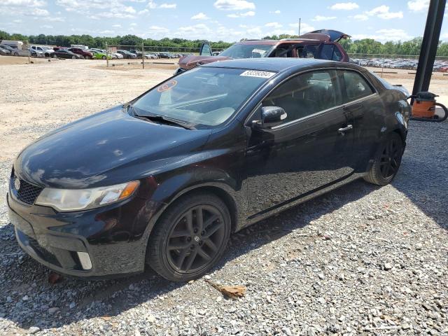 KIA FORTE 2010 knafw6a35a5130829